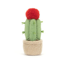 Load image into Gallery viewer, Jellycat Amuseable Moon Cactus
