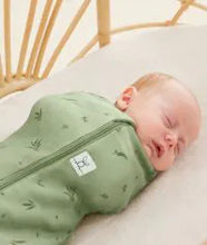 Load image into Gallery viewer, ErgoCocoon Swaddle Bag - Willow
