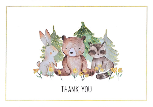 Peter Pauper Press Baby Thank You Notecards