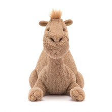Load image into Gallery viewer, Jellycat Richie Dromedary
