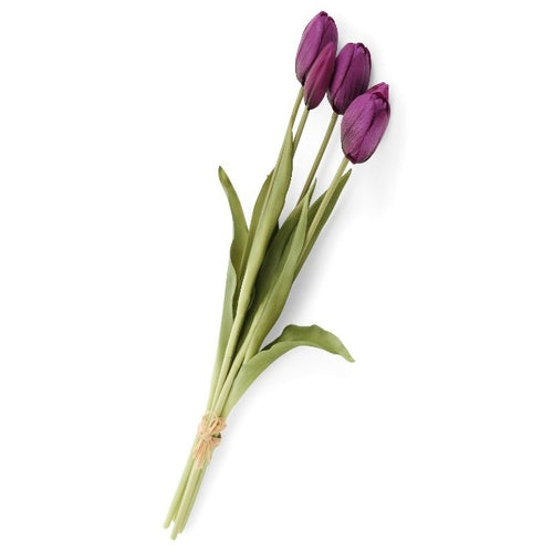 ADV Tulip Bundle Purple
