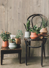 Load image into Gallery viewer, Danica Heirloom Nest Plant Pot
