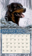 Load image into Gallery viewer, Lang 2024 Love of Dogs Wall Calendar
