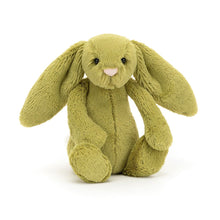 Load image into Gallery viewer, Jellycat Bashful Moss Bunny
