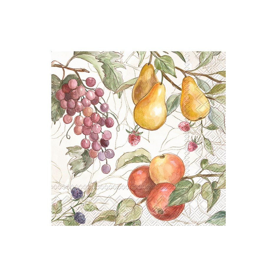 IHR Country Fruits Paper Napkins