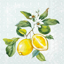 Load image into Gallery viewer, IHR Lemon Wreath Mint Cocktail Napkin
