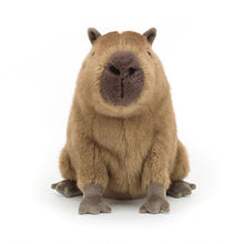 Load image into Gallery viewer, Jellycat Clyde Capybara
