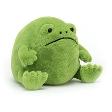 Load image into Gallery viewer, Jellycat Ricky Rain Frog
