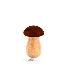 Load image into Gallery viewer, Kikkerland Mushroom Tool Keychain
