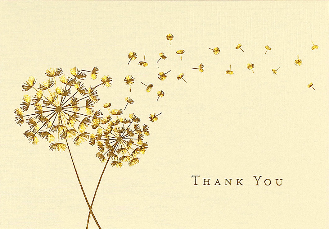 Peter Pauper Press Dandelion Wishes Thank You Notecards