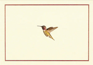 Peter Pauper Press Hummingbird Flight Notecards
