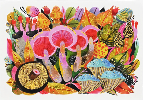 Peter Pauper Press Mushroom Medley Notecards