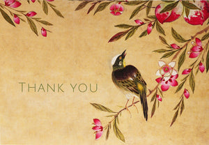 Peach Blossoms Thank You Notecards