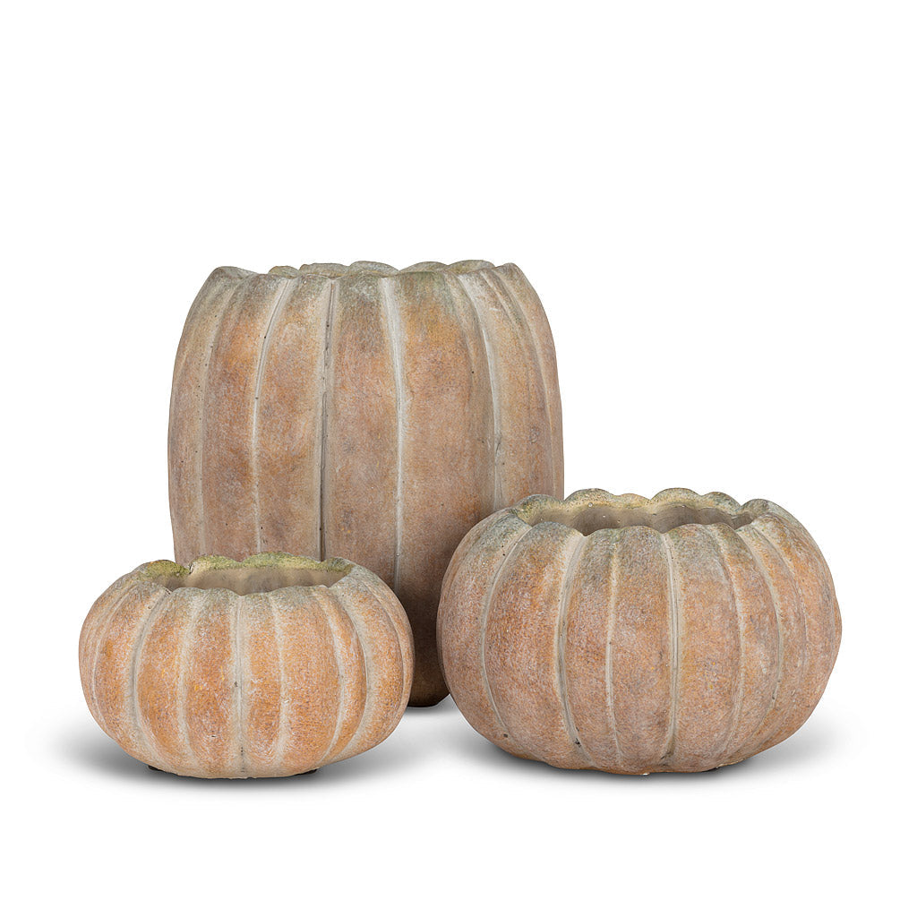 Pumpkin Planters