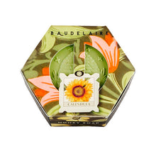 Load image into Gallery viewer, Baudelaire Calendula Honey Luxury Soap Hex Bar
