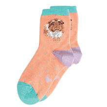 Load image into Gallery viewer, Wrendale Designs Grinny Pig Guinea Pig Children&#39;s Socks
