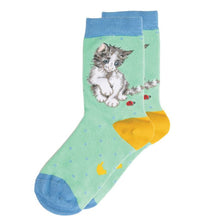 Load image into Gallery viewer, Wrendale &#39;Ladybird&#39; Cat Children&#39;s Socks
