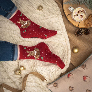 Wrendale Designs Little Pudding Christmas Socks