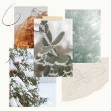 Load image into Gallery viewer, Thymes Highland Frost Candle
