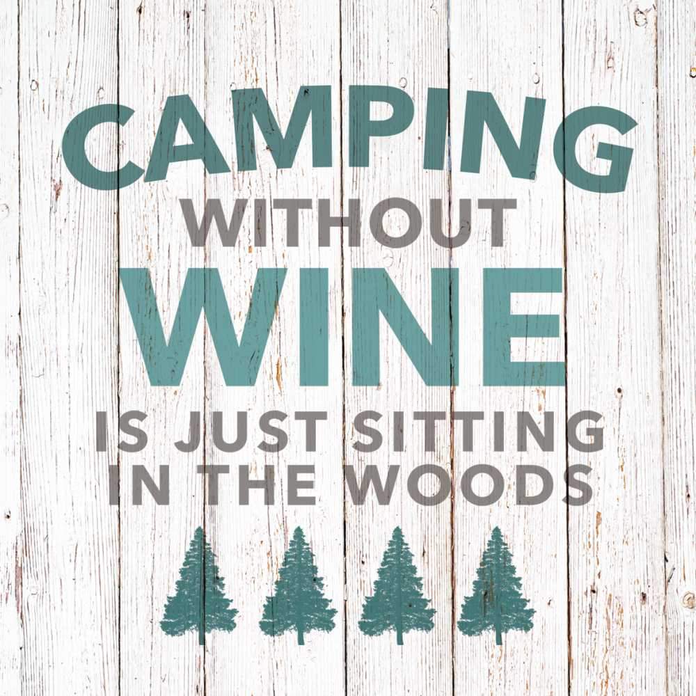 Paperproducts Design Camping Without Wine Paper Napkins