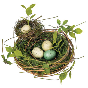 Double Birds Nests with Eggs