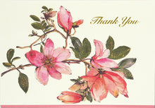 Load image into Gallery viewer, Peter Pauper Magnolia Thank You Notecards
