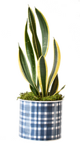 Load image into Gallery viewer, Blue Plaid Metal Planters

