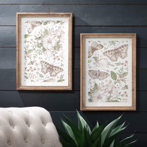 Botanical Butterfly Print