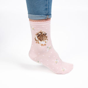 Wrendale Designs Grinny Pig Socks