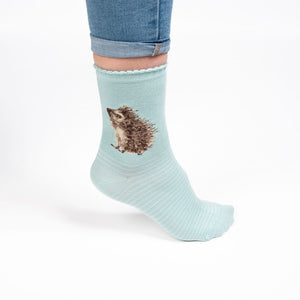 Wrendale Designs Hedgehugs Socks